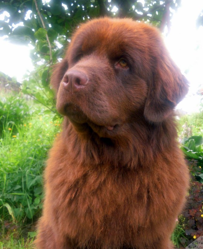 Фотография № 211167