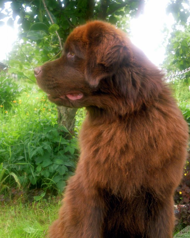 Фотография № 211168