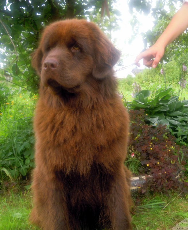 Фотография № 211169