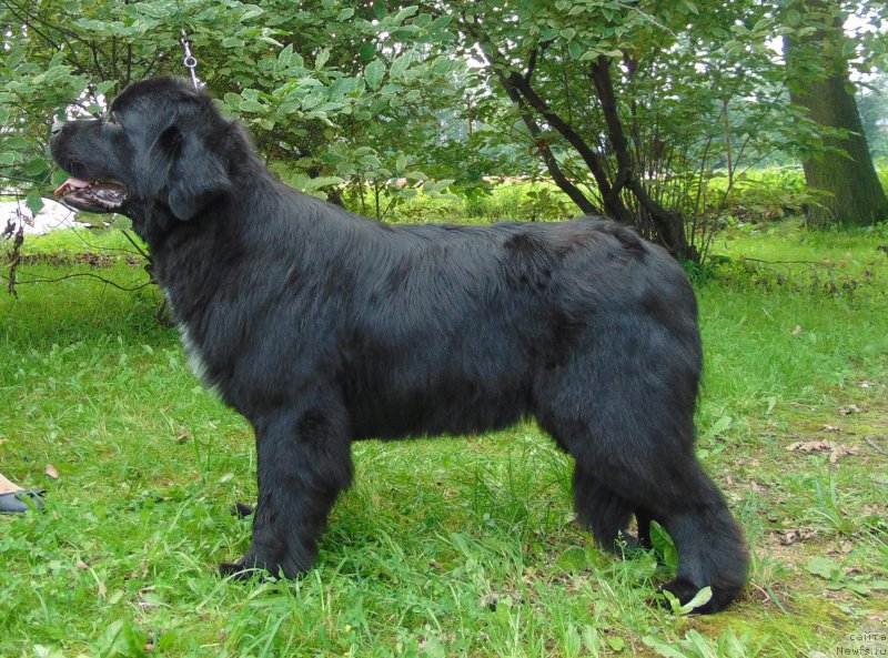 Фотография № 211178