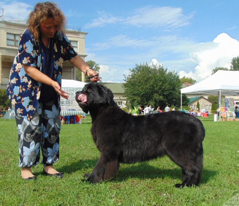 Фотография № 211183