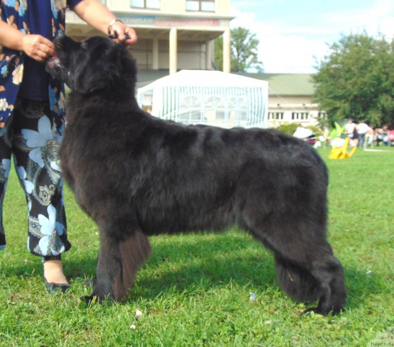 Фотография № 211184