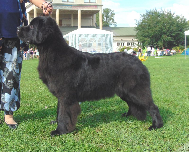 Фотография № 211185