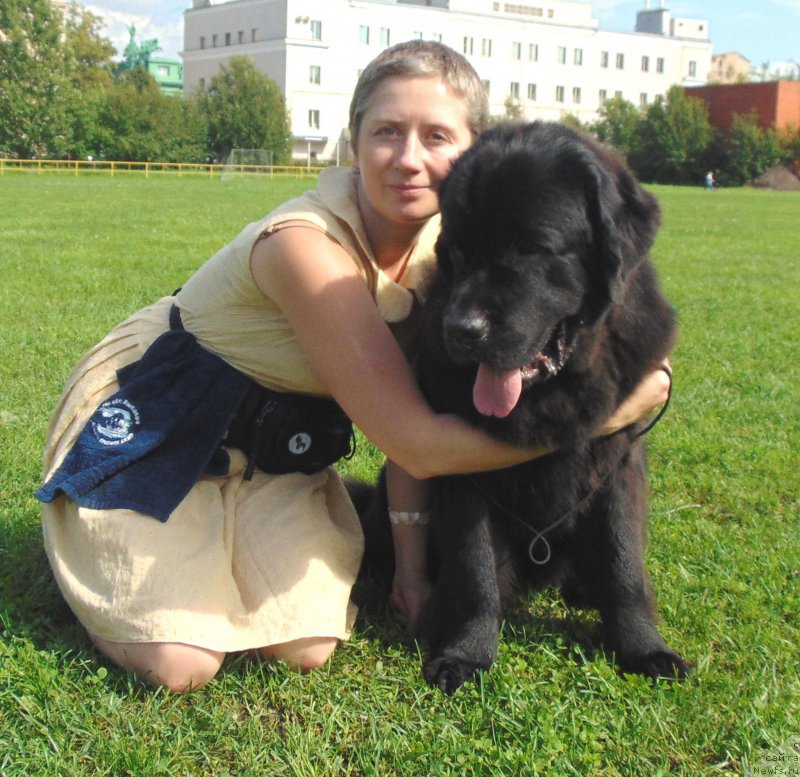 Фотография № 211186