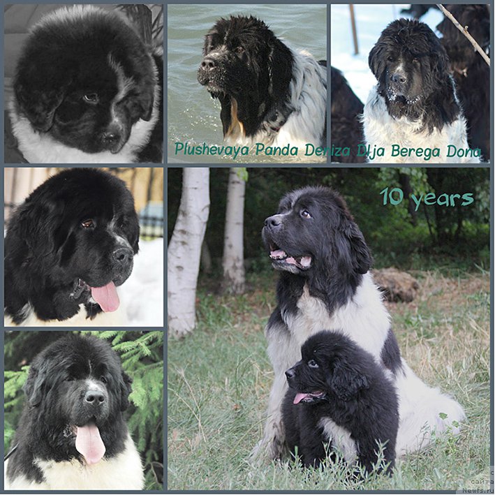 Фотография № 211219