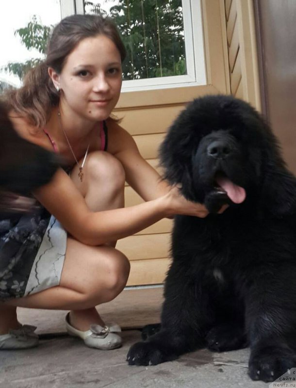 Фотография № 211241