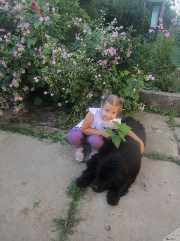 Фотография № 211255