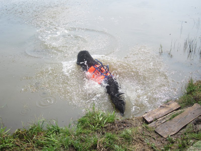 Фото: Natal'ya Smazchikova (Наталья Смазчикова)