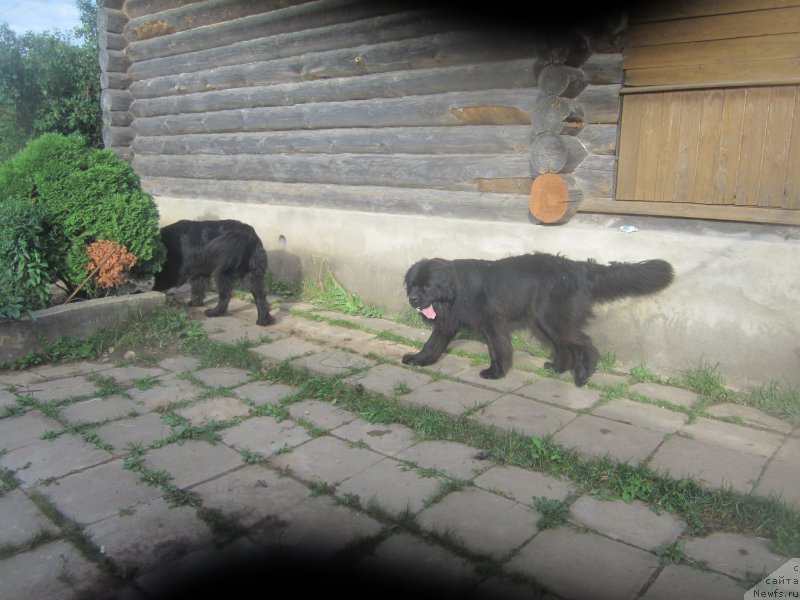 Фото: Natal'ya Smazchikova (Наталья Смазчикова)