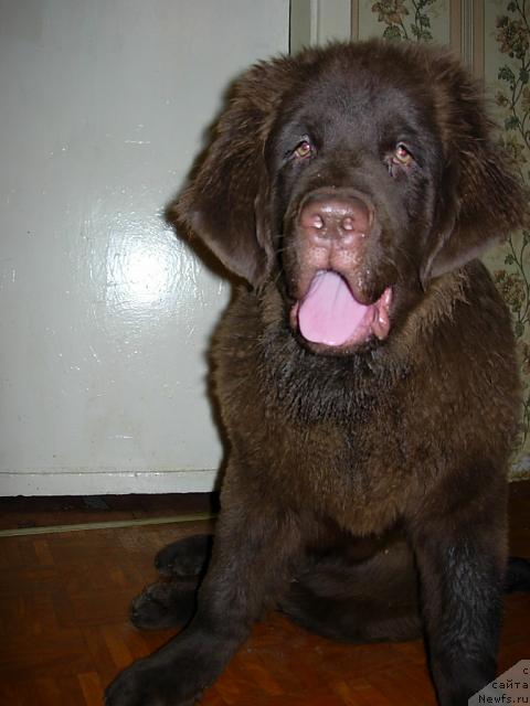 Фото: Конфуций