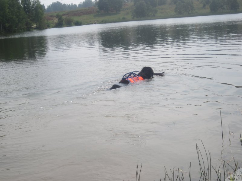 Фото: Natal'ya Smazchikova (Наталья Смазчикова)