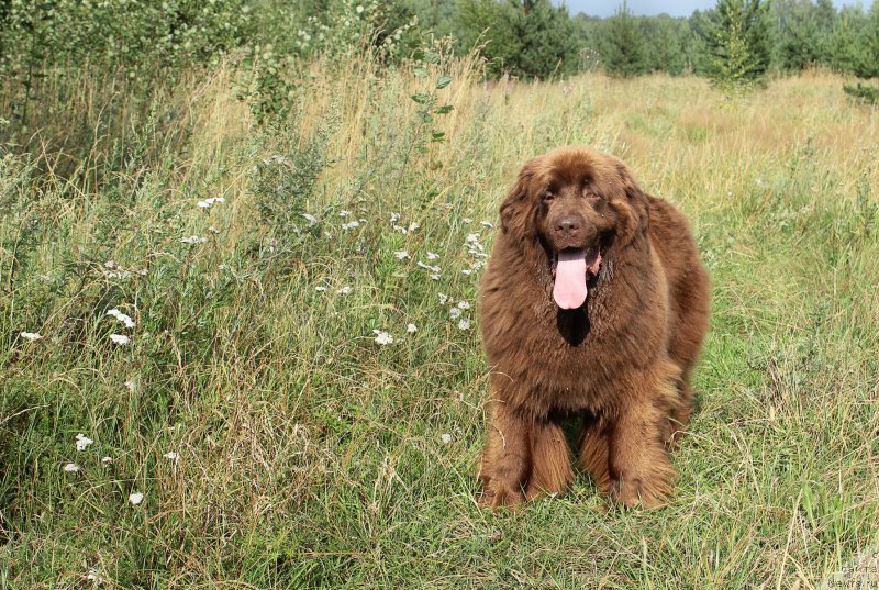 Фотография № 211277