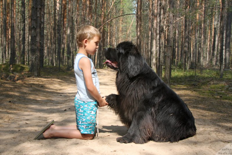 Фотография № 211278