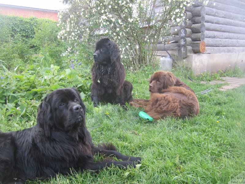 Фото: Natal'ya Smazchikova (Наталья Смазчикова)