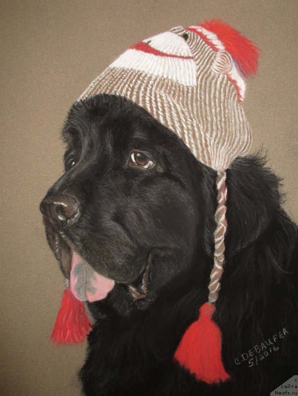 Фотография № 211288