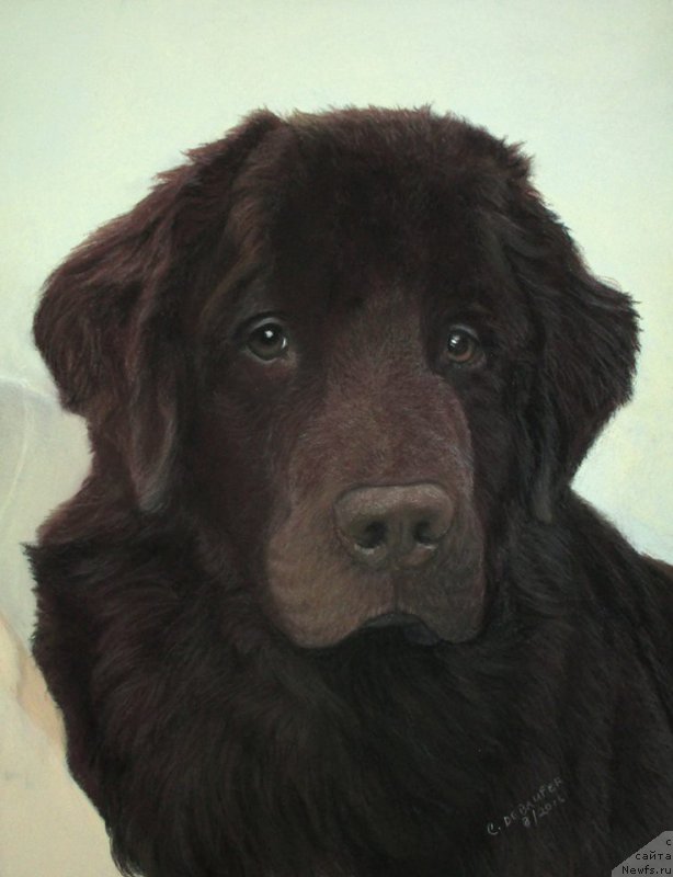 Фотография № 211289