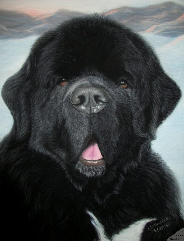 Фотография № 211290