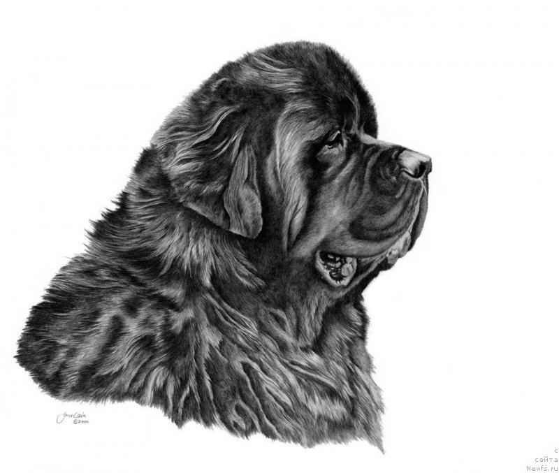 Фотография № 211291