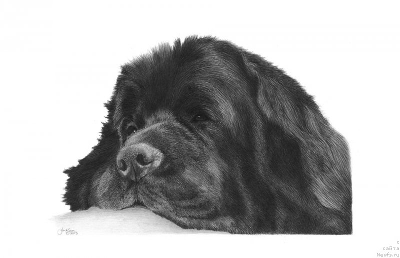 Фотография № 211292