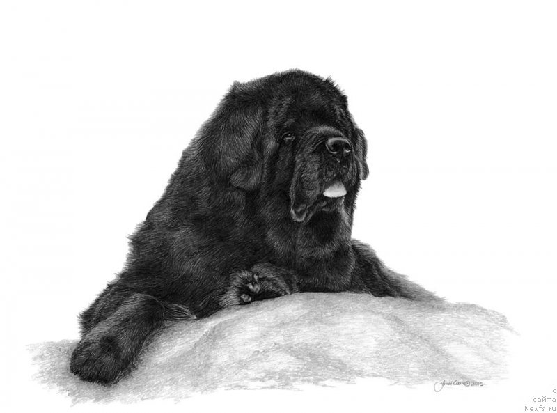 Фотография № 211293