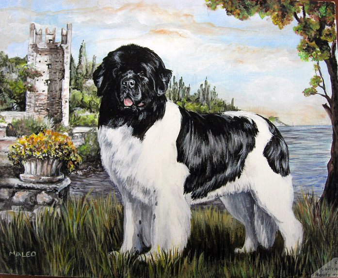 Фотография № 211294