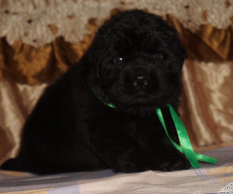 Фотография № 211304