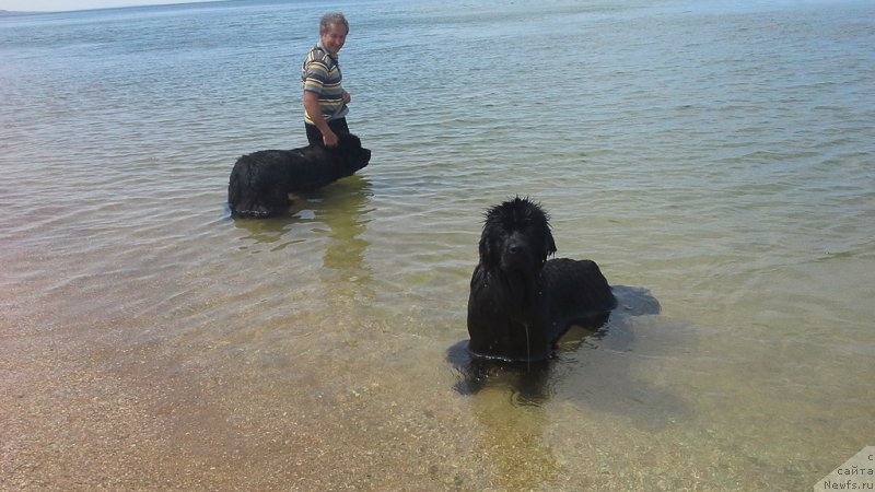 Фото: Natal'ya Smazchikova (Наталья Смазчикова)