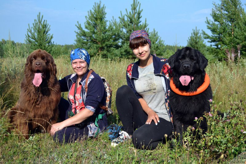 Фото: ньюфаундленд Naomi Tagoliri for Brouwnblood (Наоми Таголири фор Браунблад), Tat'yana Juravleva (Татьяна Журавлева), Zarina Lubkova (Зарина Лубкова), ньюфаундленд Piternyuf Ideas For Life (Питерньюф Идеас Фор Лифе)