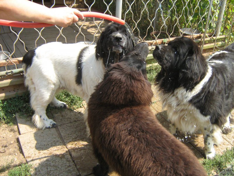 Фотография № 211398