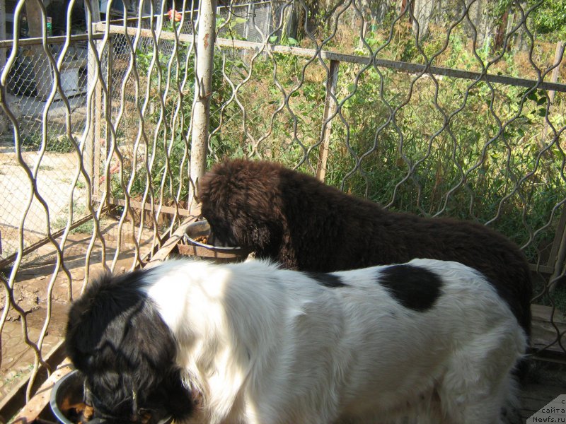 Фотография № 211401