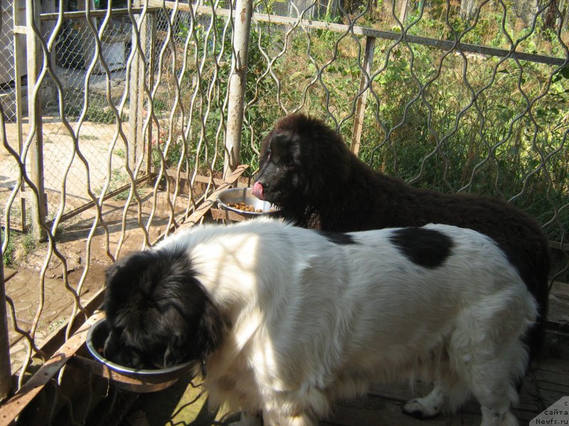 Фотография № 211402