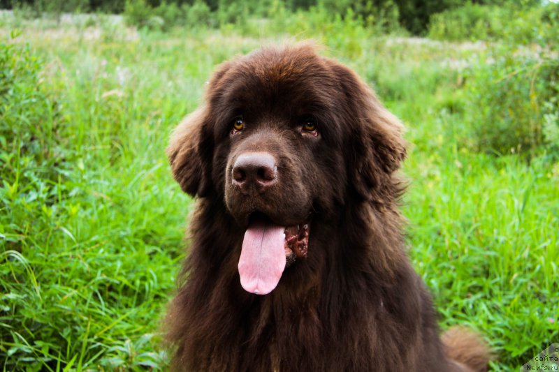 Фотография № 211410