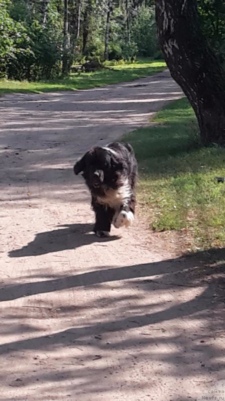 Фотография № 211424