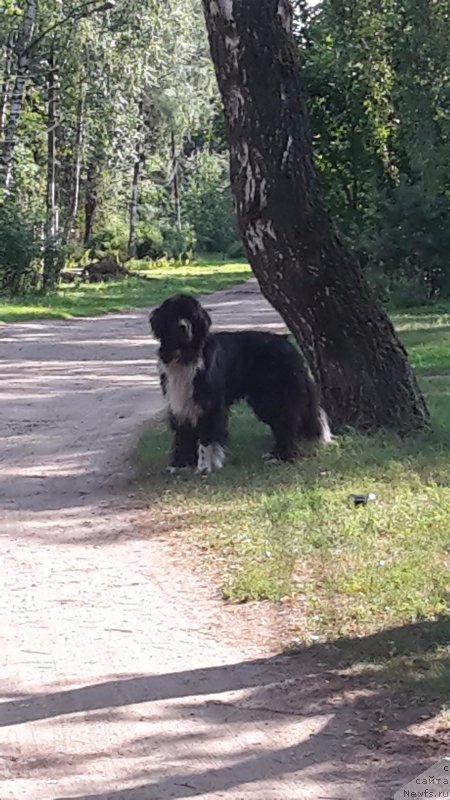 Фотография № 211425