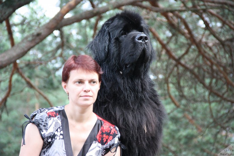 Фотография № 211427