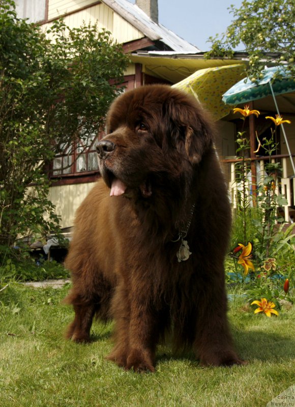 Фотография № 211432