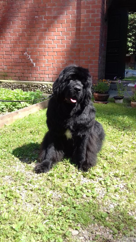 Фотография № 211434