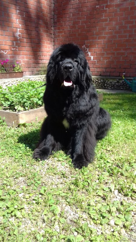 Фотография № 211435