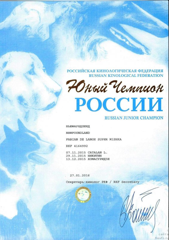 Фото: ньюфаундленд Fabian de Lange Super Mishka