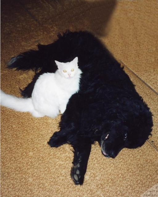 Фотография № 21145