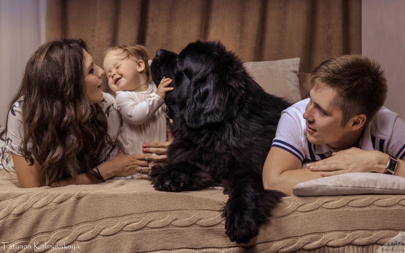 Фотография № 211465