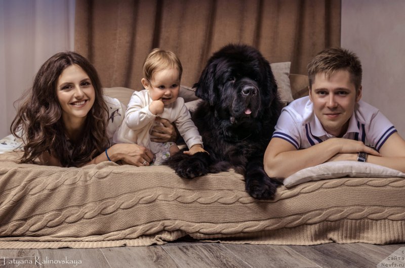 Фотография № 211466