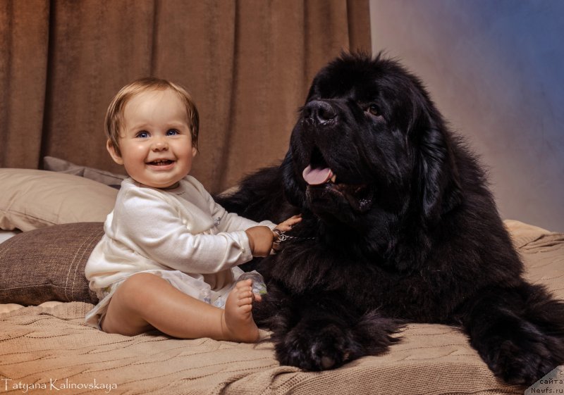 Фотография № 211469