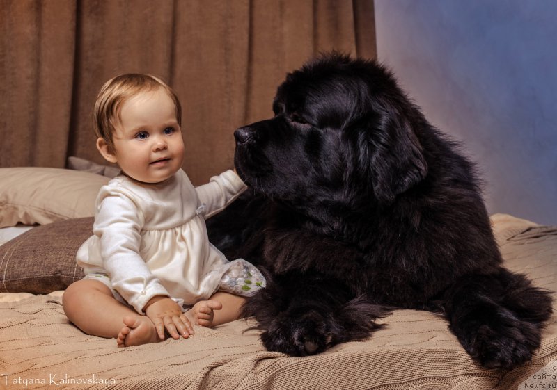 Фотография № 211470