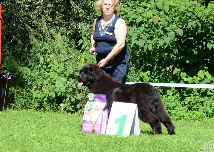 Фотография № 211487