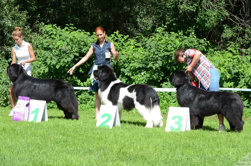 Фотография № 211489