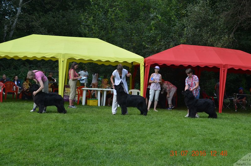 Фотография № 211490