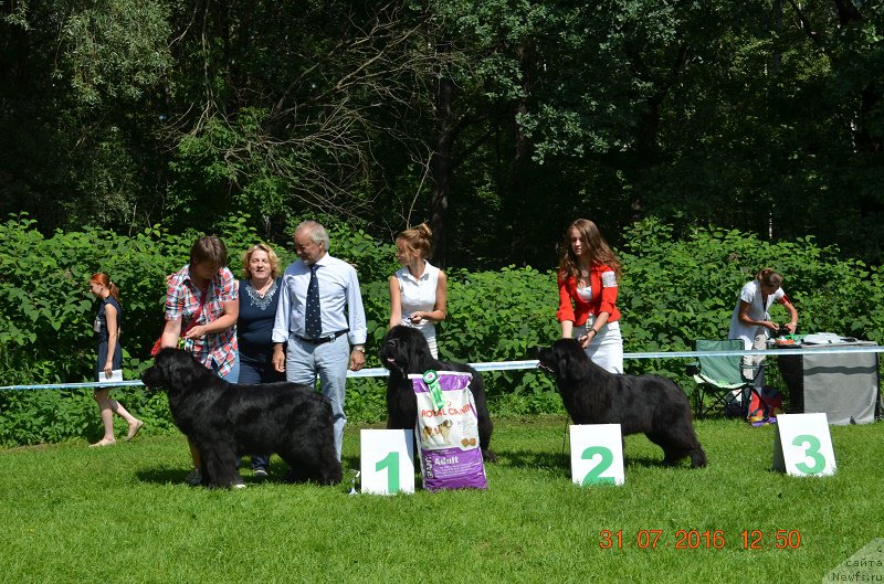 Фотография № 211494