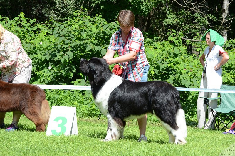 Фотография № 211499