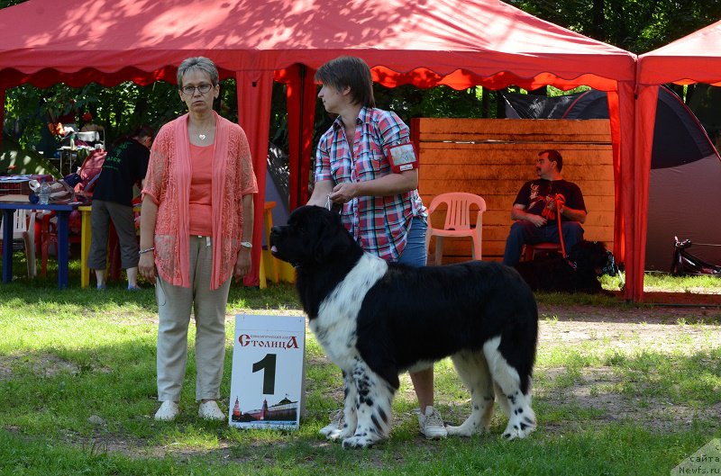 Фотография № 211500